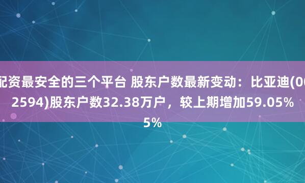 配资最安全的三个平台 股东户数最新变动：比亚迪(002594)股东户数32.38万户，较上期增加59.05%