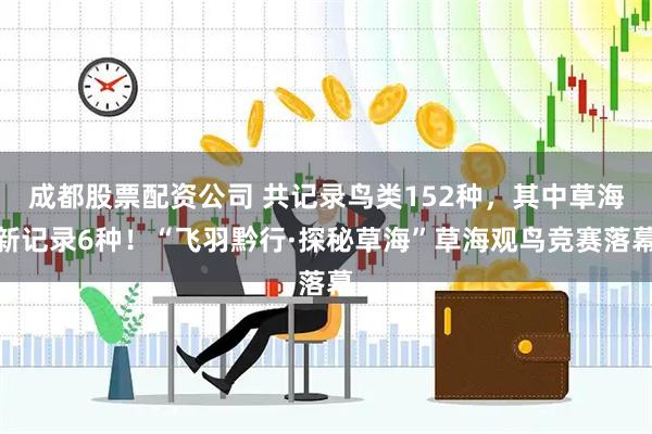 成都股票配资公司 共记录鸟类152种，其中草海新记录6种！“飞羽黔行·探秘草海”草海观鸟竞赛落幕