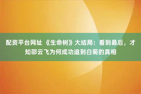 配资平台网址 《生命树》大结局：看到最后，才知邵云飞为何成功追到白菊的真相